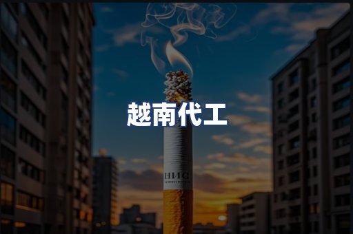 越南代工