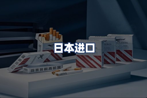 日本进口